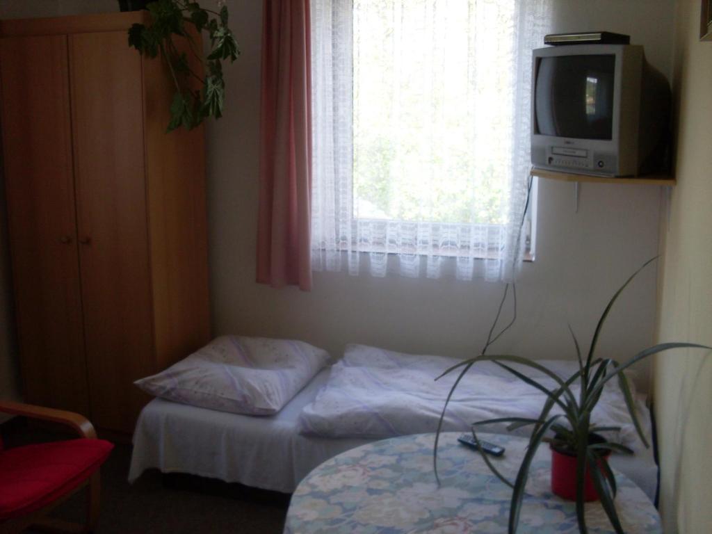 Pension U Kastanu Карлові Вари Номер фото